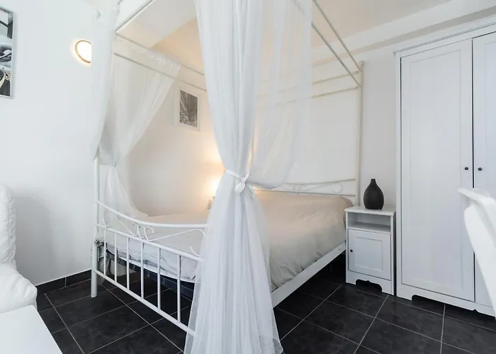 Florella Marechal Joffre * Канны