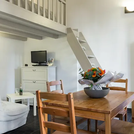 Florella Marechal Joffre *