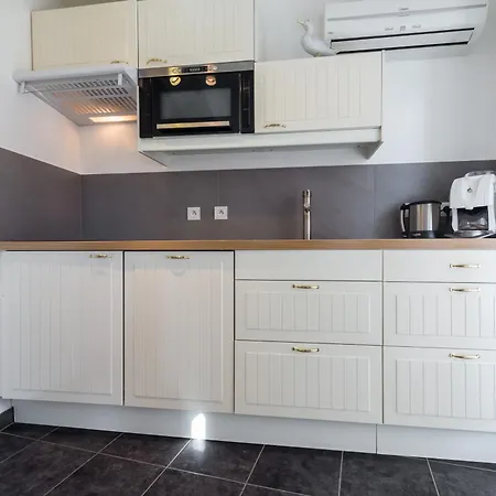 Florella Marechal Joffre Daire